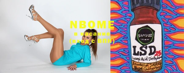индика Алексин