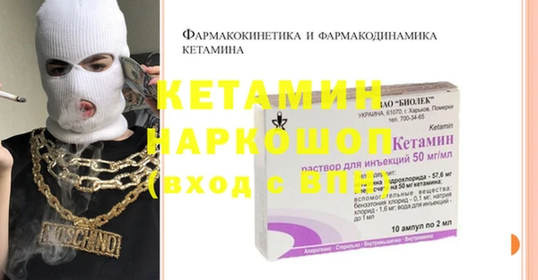индика Алексин