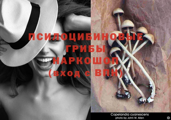 скорость Болхов