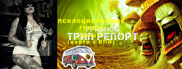 индика Алексин
