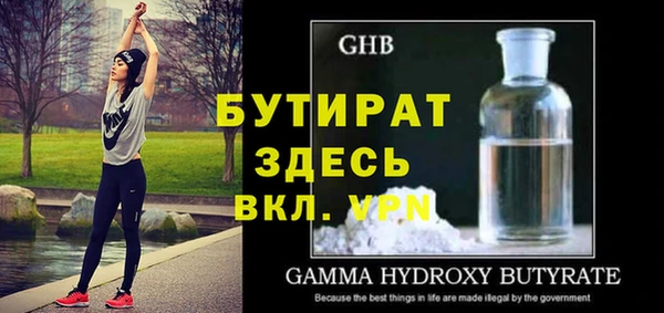 индика Алексин