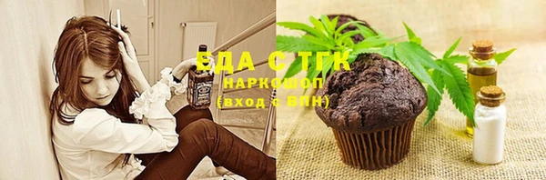 индика Алексин