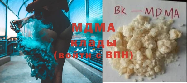 индика Алексин