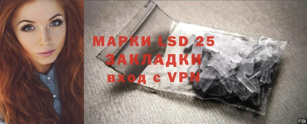 индика Алексин