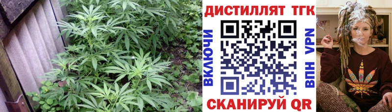 кракен tor  продажа наркотиков  Гаврилов Посад  ТГК концентрат 